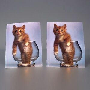 Vintage G.K. & Vikki Hart Photography Mead Portfolio Folder Cat Purrs & Grrrs 2‎